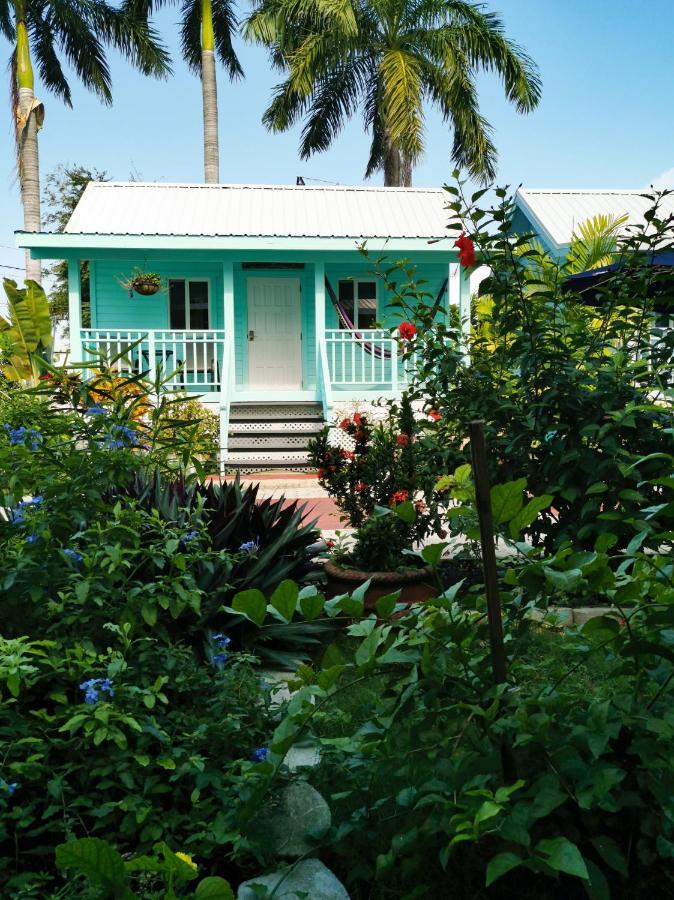 Harbour View Boutique Hotel & Yoga Retreat Cidade de Belize Exterior foto