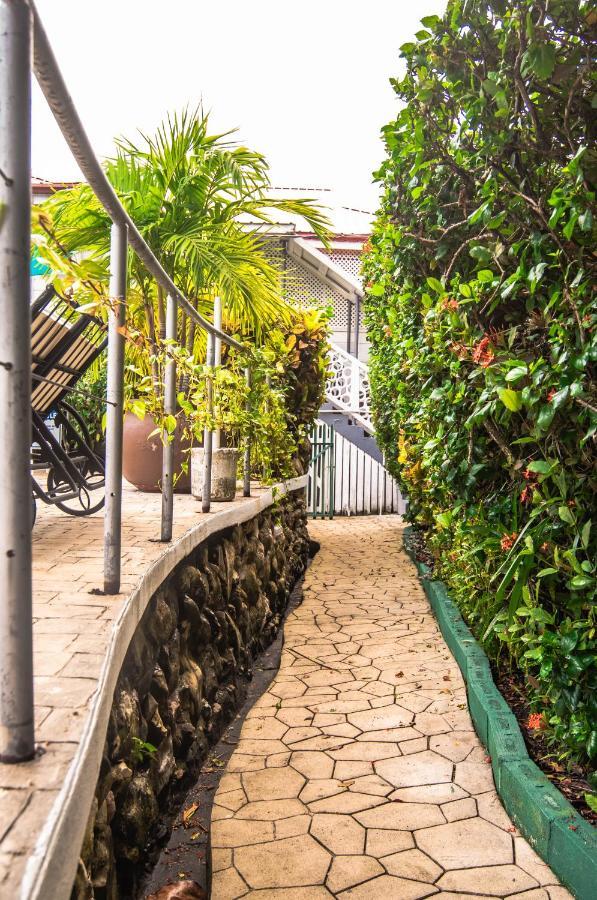 Harbour View Boutique Hotel & Yoga Retreat Cidade de Belize Exterior foto