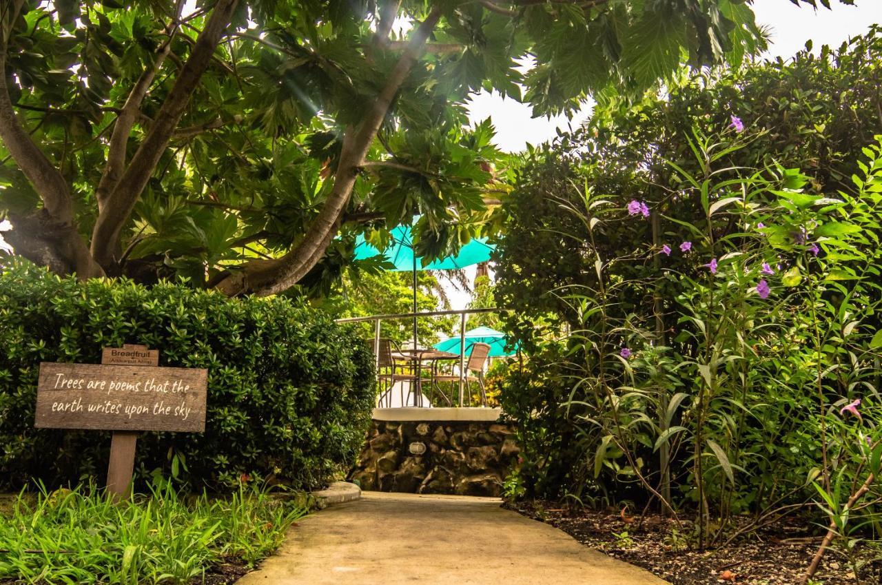 Harbour View Boutique Hotel & Yoga Retreat Cidade de Belize Exterior foto